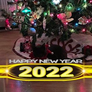 Meet your Posher, Tracey